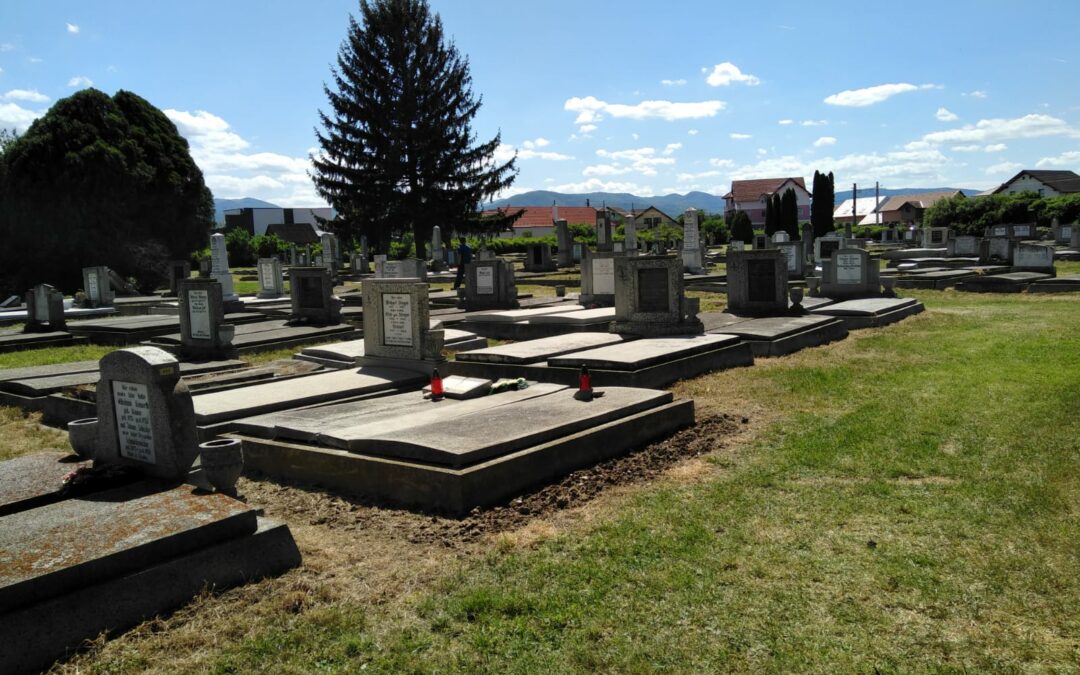 7. Arbeitseinsatz (2022)